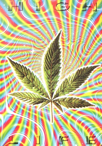 Cannabis marijuana grass mary - cannabis,