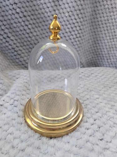 Conche cupola espositore - conche,