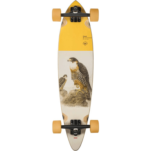 Globe longboard pintail - longboard,