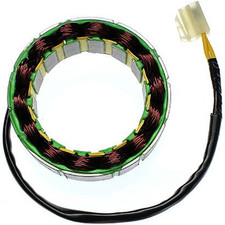 ELECTROSPORT Stator Bobina