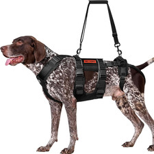 SKYEWALKER - Imbracatura Di