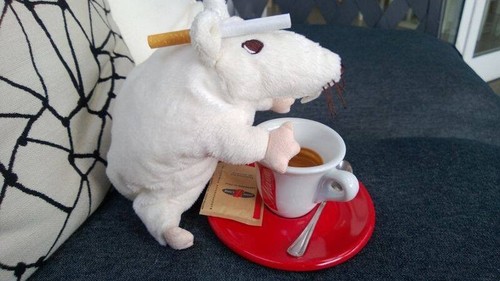 Bianco ikea gosig peluche - bianco,