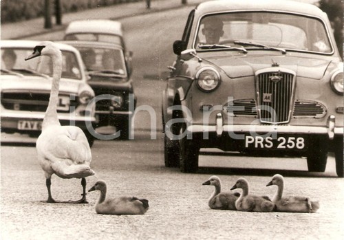 1960 united kingdom - united,