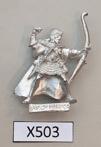 High elf shadow warrior - high,