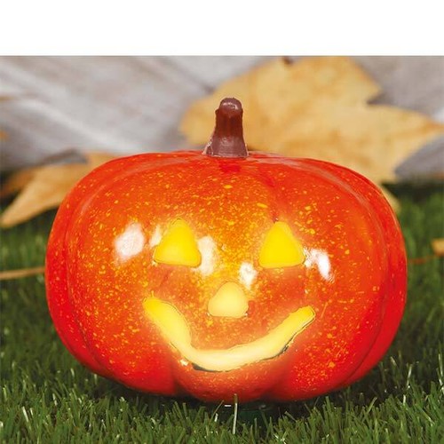 Zucca con luce cm - con,
