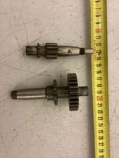 franco morini MO1 lotto albero