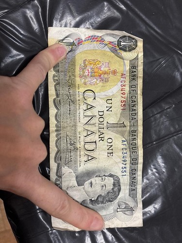 Lotto monete canada - lotto, +