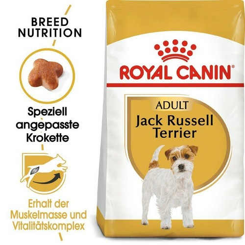 Royal canin jack - royal, russell