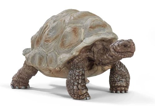Schleich tartaruga gigante - schleich,
