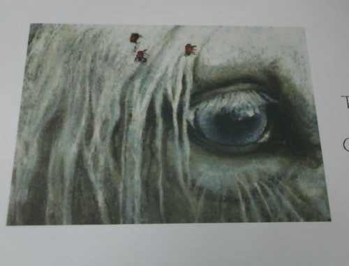 Unicorno bianco salice