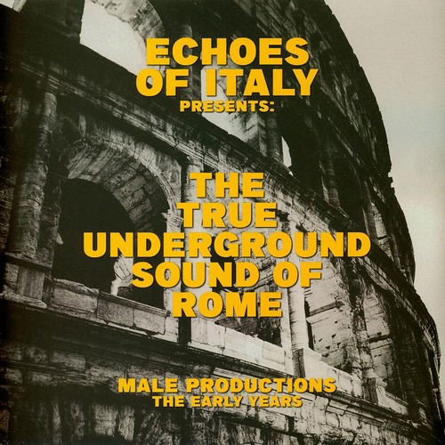The true underground - the,