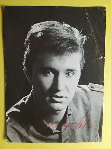 Cartoncino discografico - ,