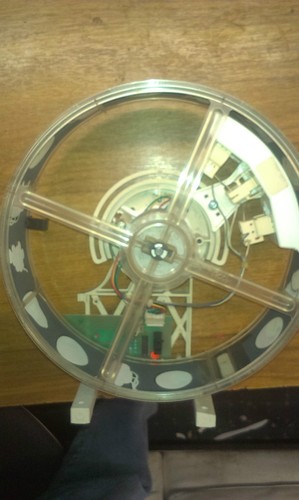 Reel maygay completo - maygay, light