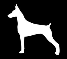 Adesivo Doberman Pinscher