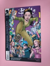 Buffy The Vampire Slayer Season 8 #14 (BTVS S8) - Variant Cover First Print Run