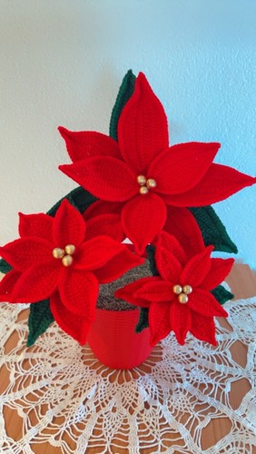 Stelle natale fatte - stelle, di