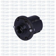 Differenziale autobloccante