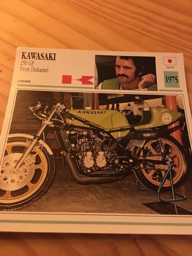Kawasaki 250 yvon duhamel - kawasaki, gp