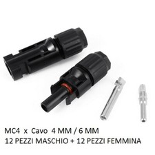 Connettori  12 maschio + 12