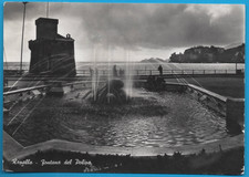 Genova Rapallo Fontana del Polipo Anno 1955 FG cartolina vintage postcard MA2447