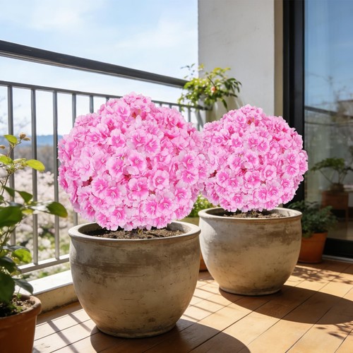 Zythrem cespugli fiori - di,