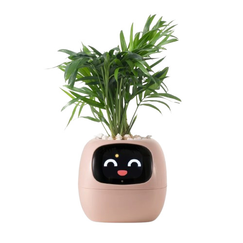 Tuya ivy smart - ivy, con