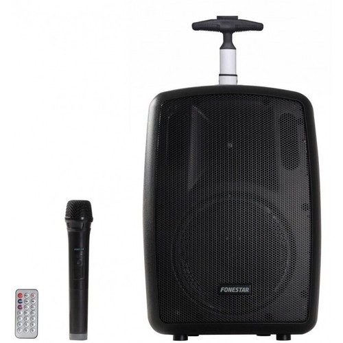 Cassa karaoke professionale - cassa,
