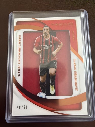Panini immacolata collezione - panini,