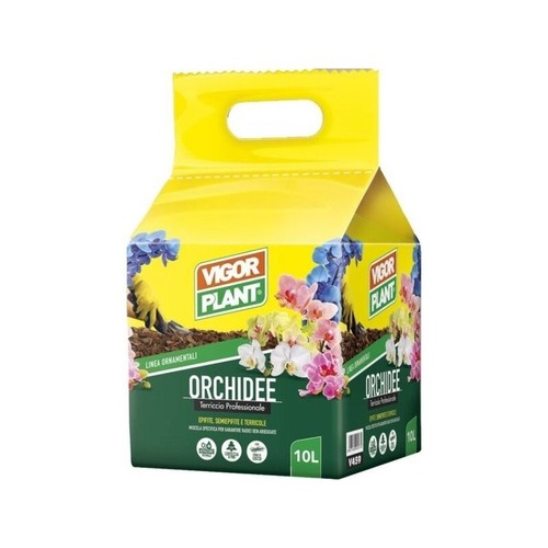 Vigor plant orchidee - vigor,