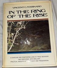 In the Ring of the Rise by