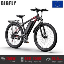 29"E-MTB BIGFLY C29 Ultra 48V