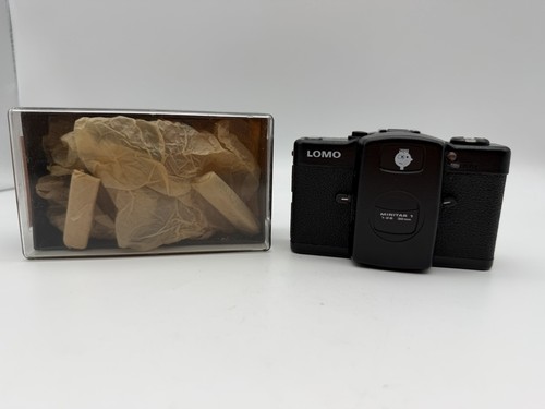 Lomo scatola - lomo, +