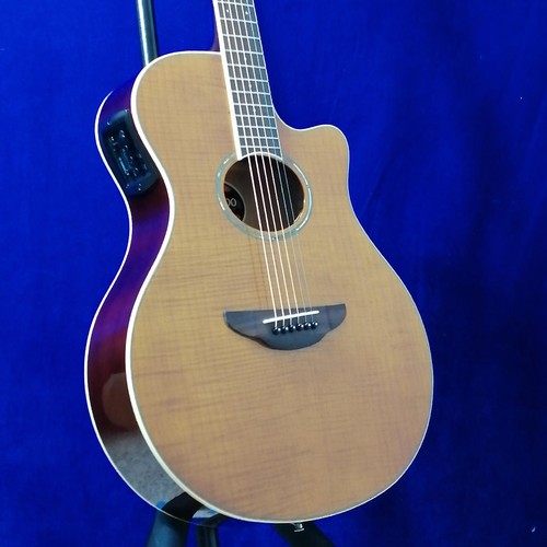 Chitarra acustica elettrica