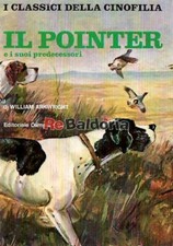 Il pointer e i suoi