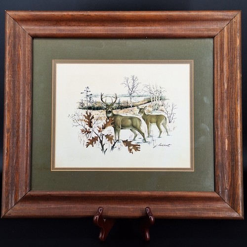 Stampa buck doe firmata - doe, j