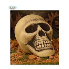 Teschio Halloween Cranio Scheletro Umano Accessori Decorazioni Addobbi Feste