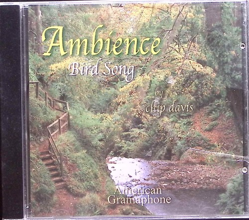 Chip davis ambience bird - chip,