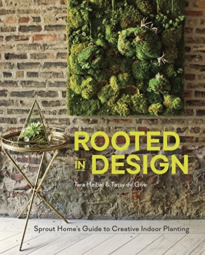 Rooted design sprout - rooted, in