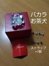 Statuina trasparente cane