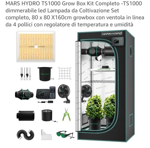 Grow box completo - box,
