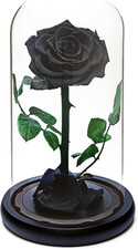 Rosa Eterna per Sempre |