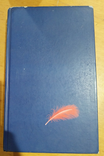Libro romanzo eco rispose - romanzo, e