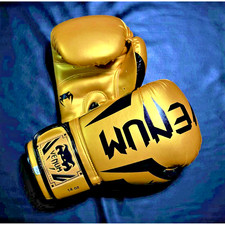 Guantoni da Boxe Venum 2.0 Challenger Competizione, Guanti da Allenamento Professionali