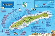 LITTLE CAYMAN ISLAND DIVE MAP & REEF CREATURES GUIDE By Franko Maps Ltd. **NEW**