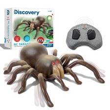 Discovery RC Tarantola Spider