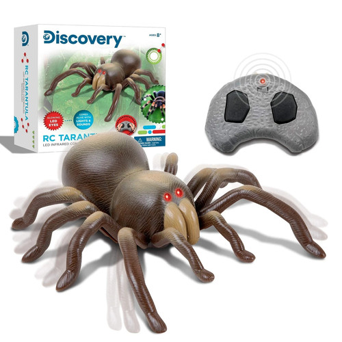 Discovery tarantola spider - discovery,
