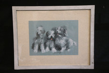 Alfonso Bortolotti Carboncino