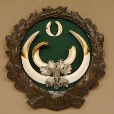 Armi Da Cinghiale (Sus Scrofa) CIC 109,35 IP Trofeo Cinghiale