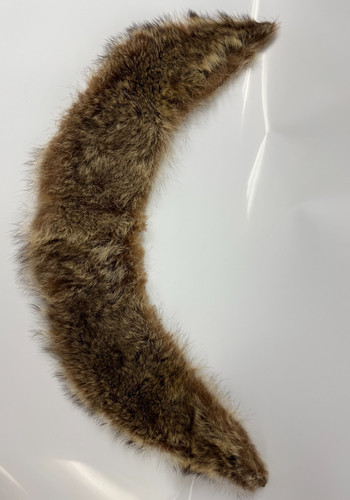 Vintage coyote coda - coyote, pelliccia