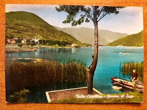 Spinone lago valle - spinone,